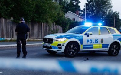 Naomi Abramowicz: Gängkriminaliteten har blivit det stora svenska exportundret