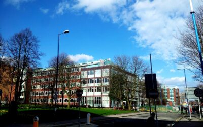 Gängkriminalitet får 1,5 miljoner svenskar att överväga flytt